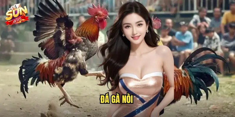 Đá Gà Nòi Sunwin SH - Sân Chơi Dành Cho Tín Đồ Gà Thuần Chủng 10 đá gà nòi