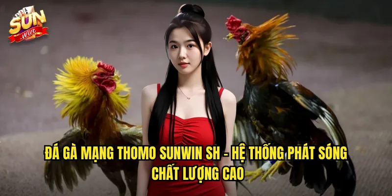 Đá gà mạng thomo sunwin sh - Hệ thống phát sóng chất lượng cao