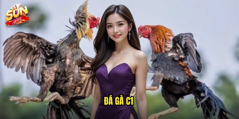 Đá Gà C1 Sunwin SH - Giải Đấu Hạng Nhất Dành Cho Những Chiến Kê Tinh Anh 2 đá gà C1