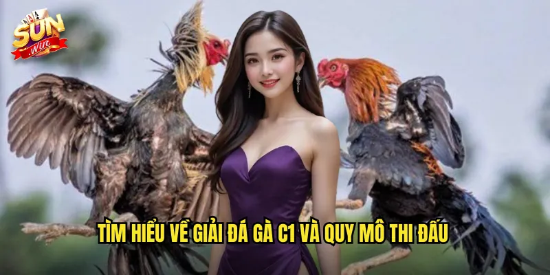 Đá Gà C1 Sunwin SH - Giải Đấu Hạng Nhất Dành Cho Những Chiến Kê Tinh Anh 2 Tìm hiểu về giải đá gà C1 và quy mô thi đấu