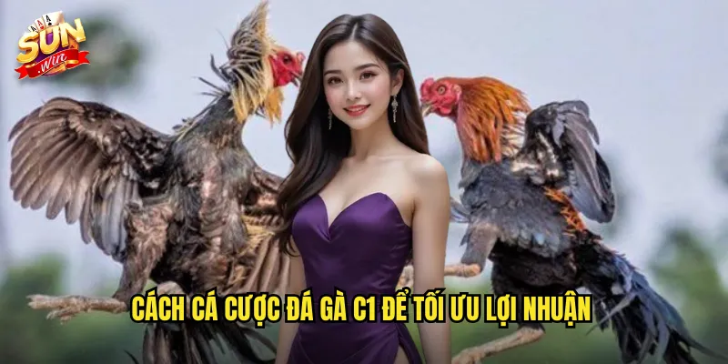 Đá Gà C1 Sunwin SH - Giải Đấu Hạng Nhất Dành Cho Những Chiến Kê Tinh Anh 3 Cách cá cược đá gà C1 để tối ưu lợi nhuận