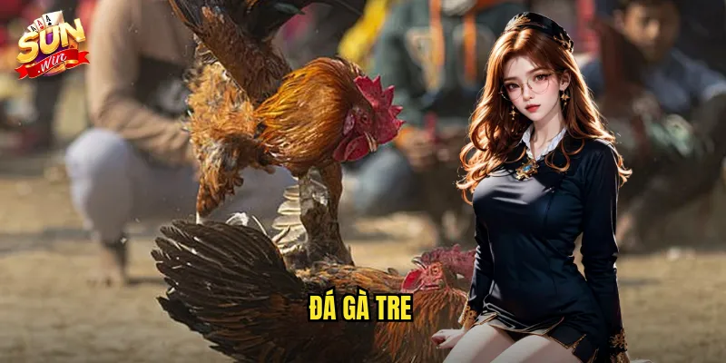đá gà tre