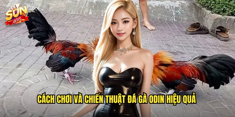 Đá Gà Odin Sunwin SH - Thần Thoại Bắc Âu Trong Thế Giới Đá Gà Trực Tuyến 3 Cách chơi và chiến thuật đá gà Odin hiệu quả